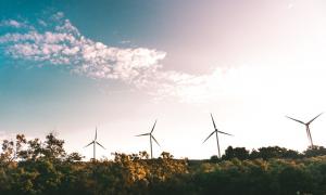 Wind turbines visible over a field