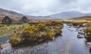 Wicklow Mountains National Park.