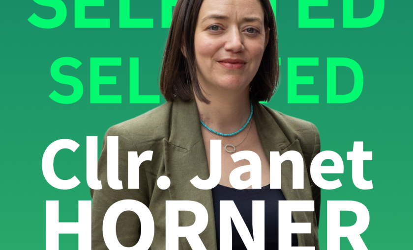 Janet Horner for Dublin Central