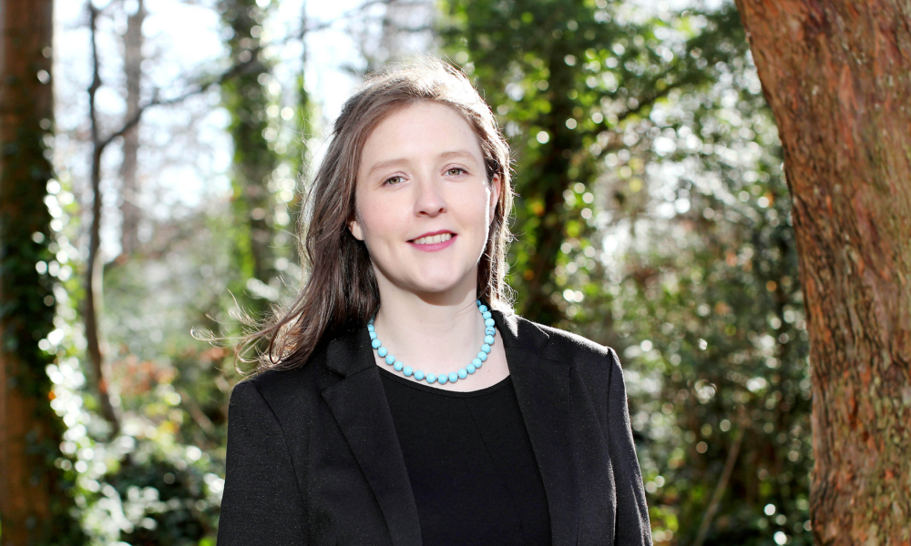 Eva Dowling, Dún Laoghaire-Rathdown County Councillor