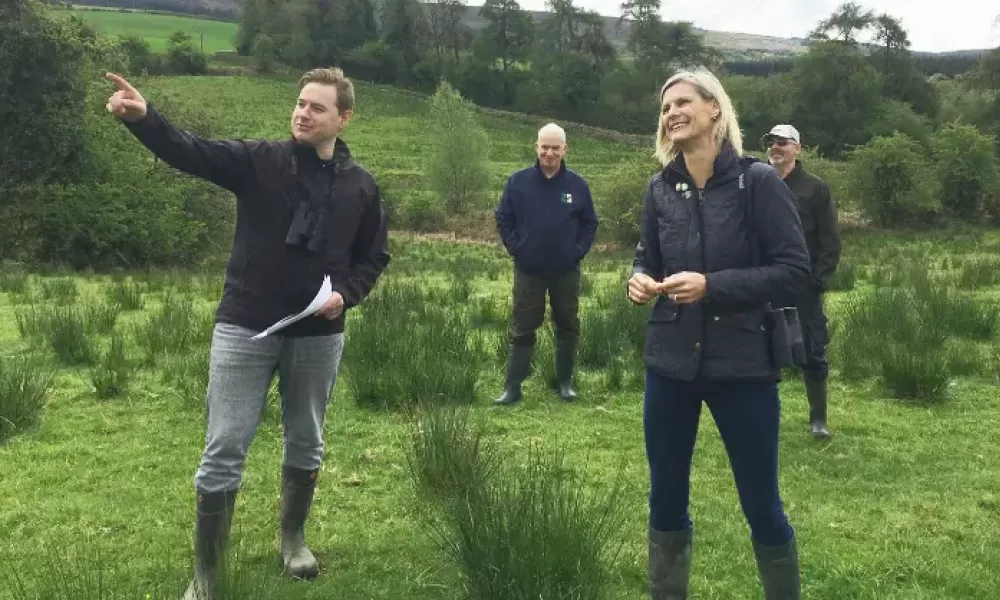 Pippa Hackett hen harrier project