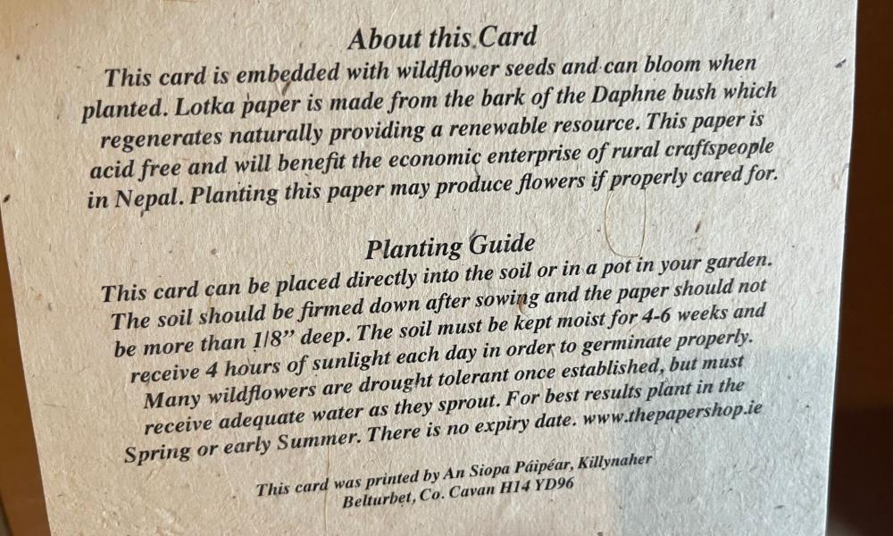 Eva Dowling canvass card