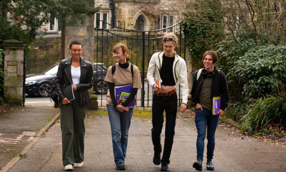 Students in Ireland