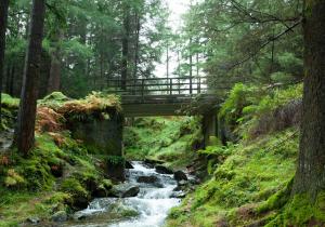 Bridge in a park - stock image